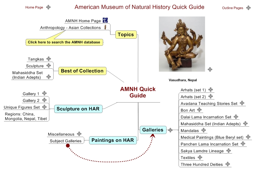 AMNH Quick Guide